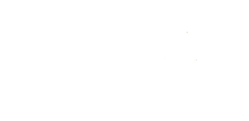 Hohlebach_Logo_White